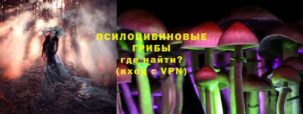 герыч Козельск