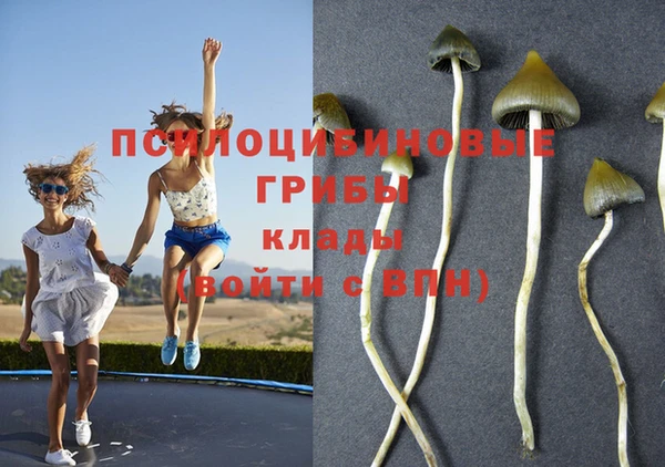 а пвп мука Кодинск