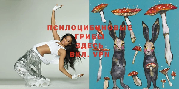 а пвп мука Кодинск