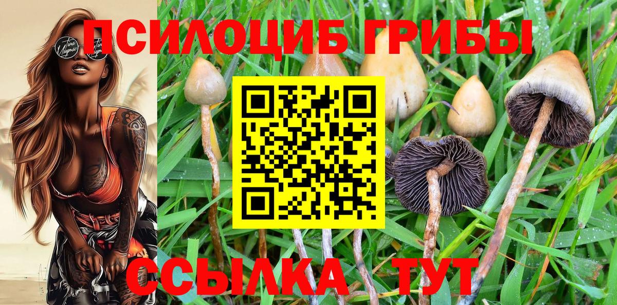 Галлюциногенные грибы Magic Shrooms  Вход с VPN  Наро-Фоминск  Псилоцибиновые грибы Cubensis 